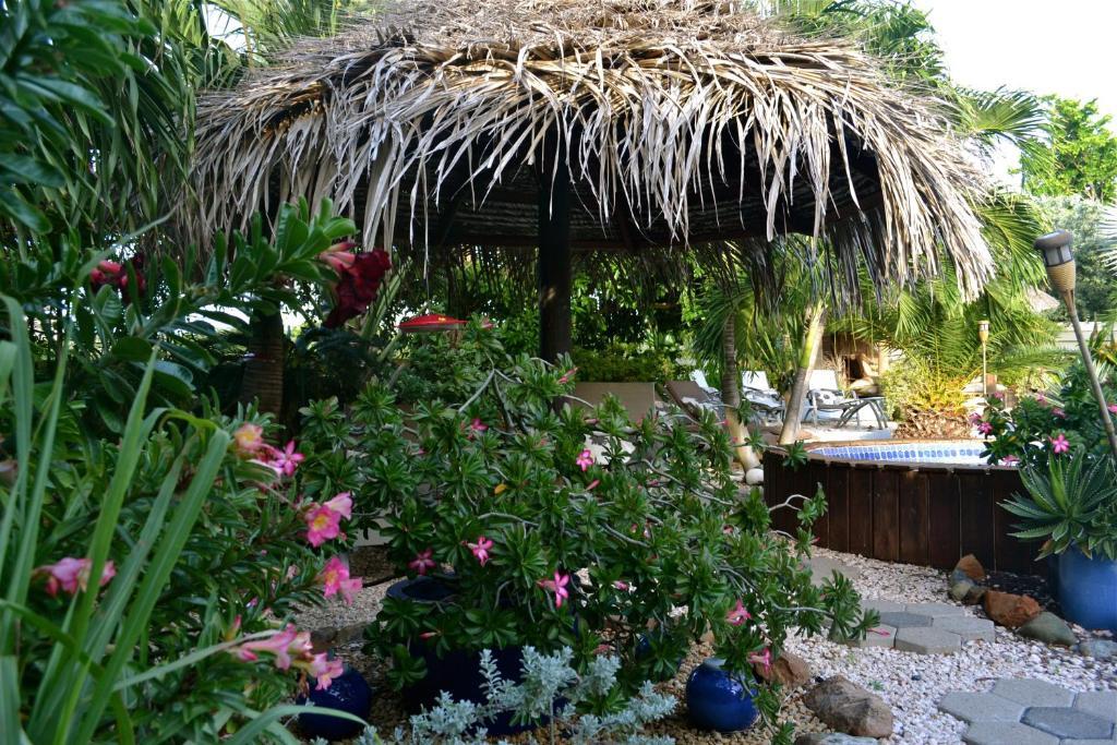 Bananas Apartments Adults Only Palm Beach Екстер'єр фото