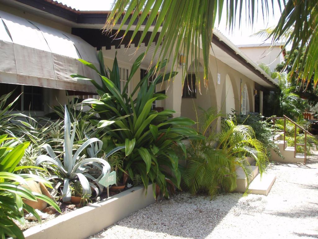 Bananas Apartments Adults Only Palm Beach Екстер'єр фото